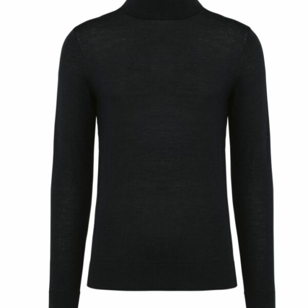 PK912  Pull col roulé Mérinos - Homme