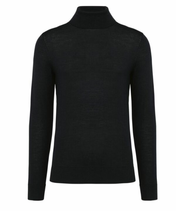 PK912  Pull col roulé Mérinos - Homme